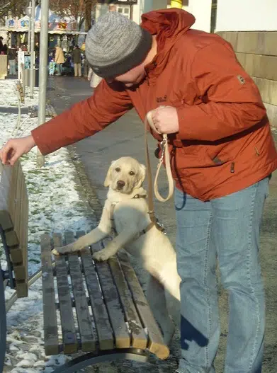 Hundeschule