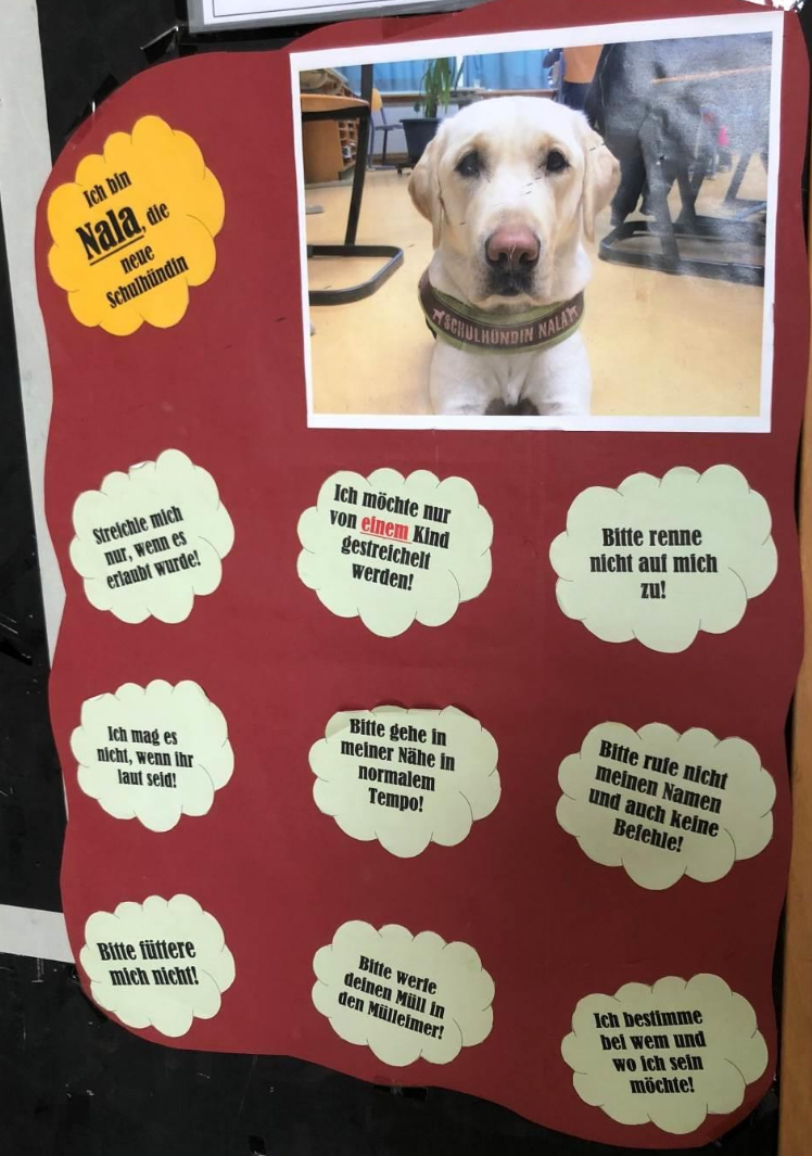 Regeln in der Klasse