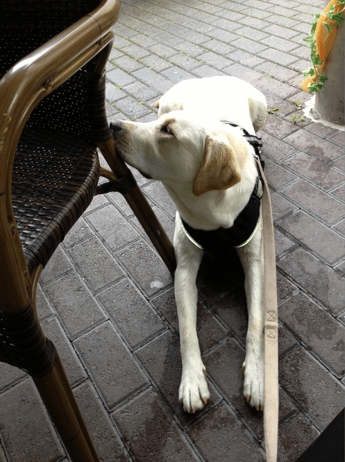 Eine aufregende Woche