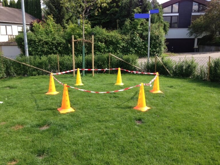 Nala’s Trainingsparcour