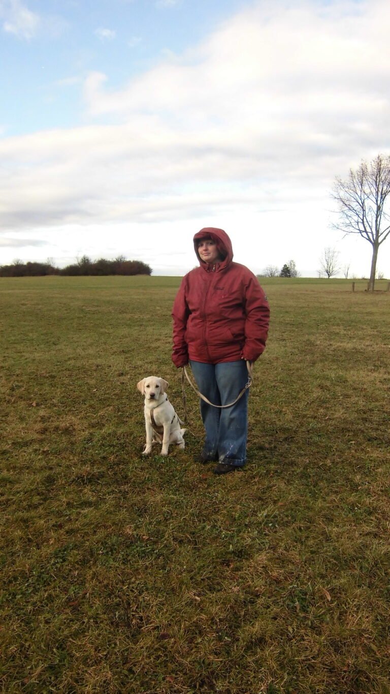 Hundeschule & Ausbildung