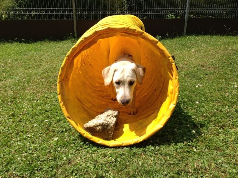 Alltagstauglichkeitstest in Ettlingen am 5. April 14