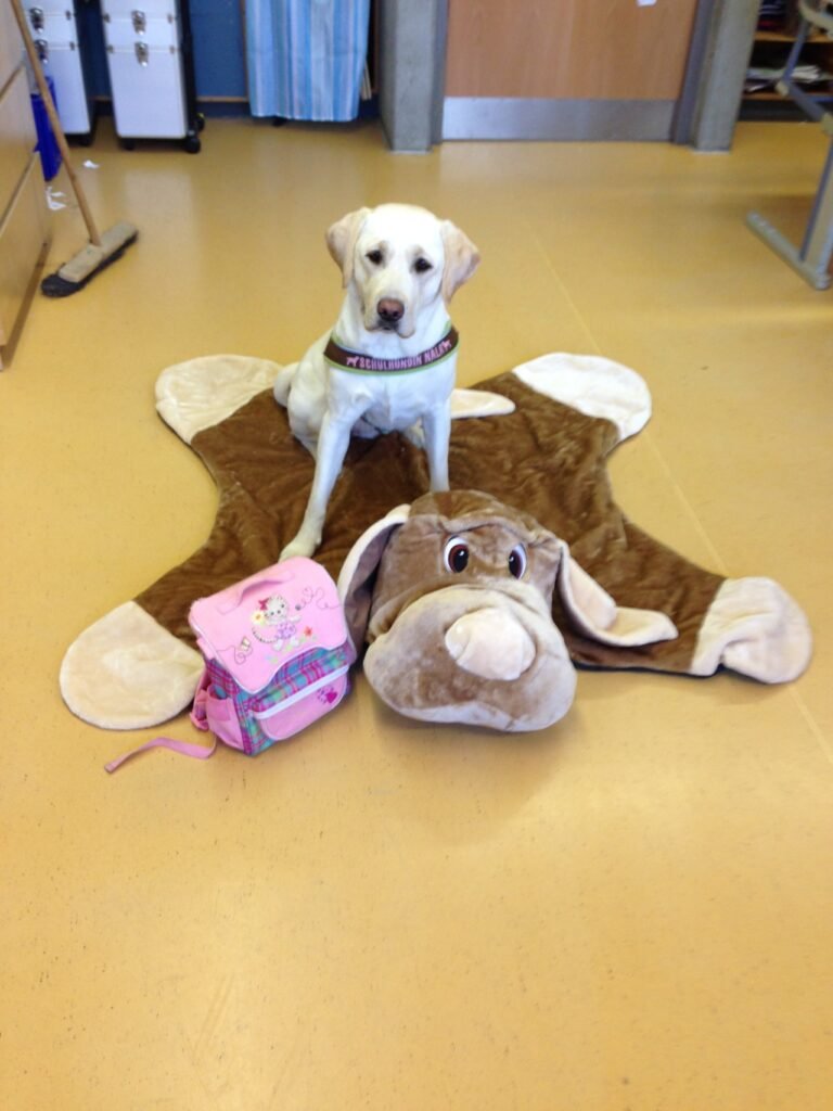 Nala’s Lieblingsfoto