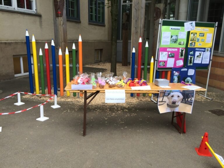 Nala unterstützt das Schulfest