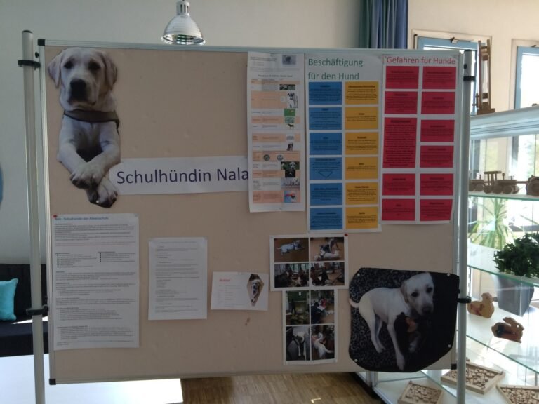 Informationen vom Frühlingsbazar und AK Schulhund