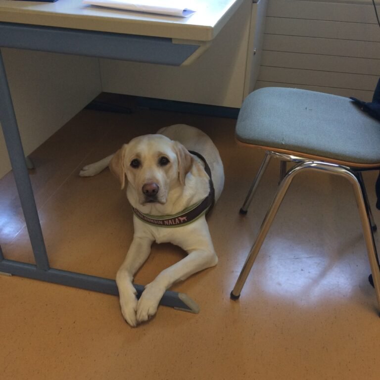 Auf in die Sommerferien