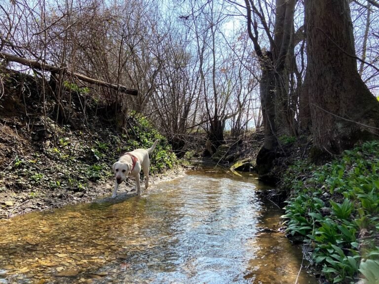 Urlaub bei Berchtesgarden
