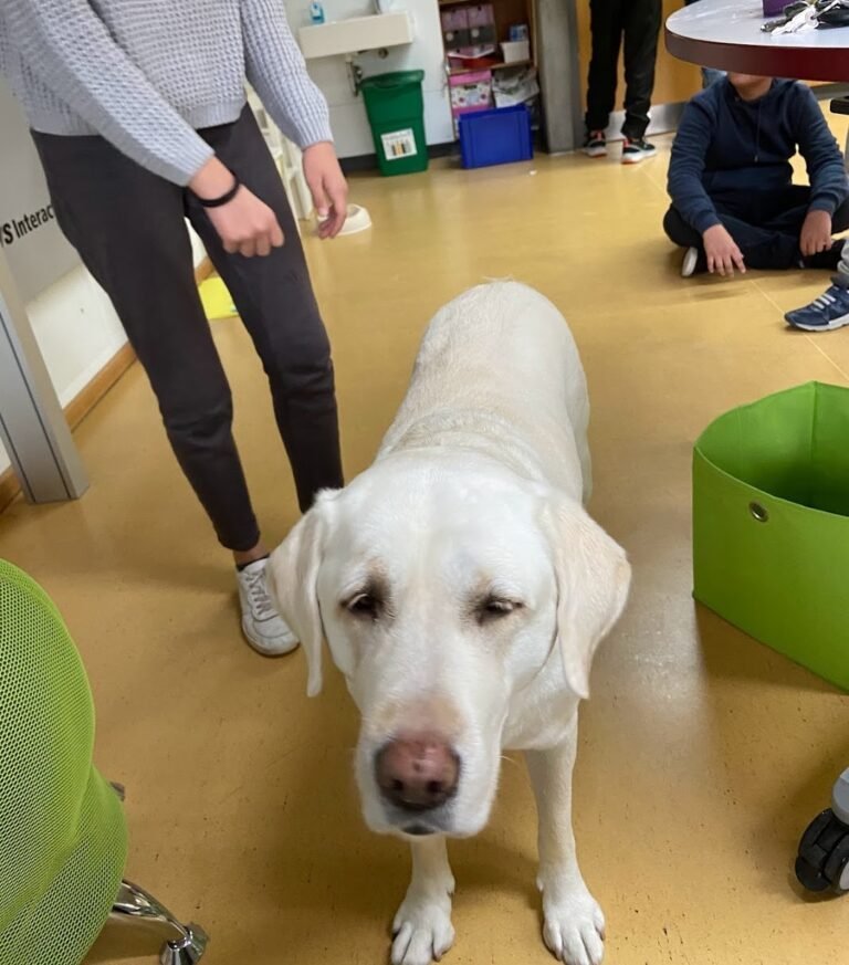 Nala im Einsatz – 2023